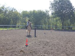 img_0249_web